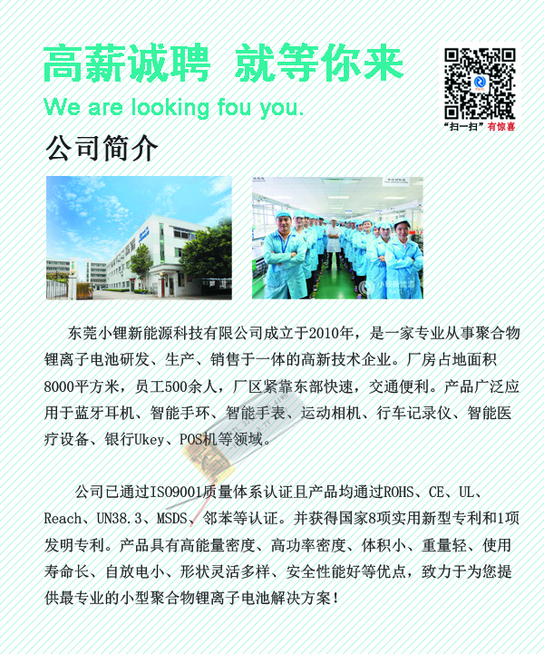 东莞小锂新能源科技有限公司招聘